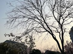 -杭州半山国家森林公园