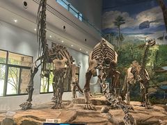 -自贡恐龙博物馆