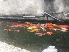 -前童古镇