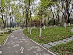-后襄河公园
