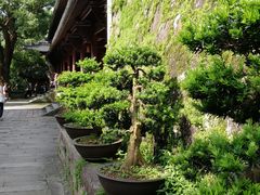 -普陀山风景名胜区-法雨禅寺