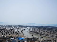 -北岐滩涂