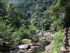 -龙湾潭国家森林公园