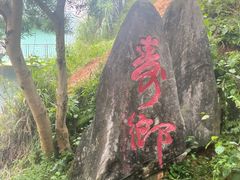 -长寿村