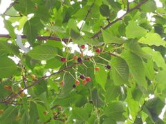 -白塘生态植物园