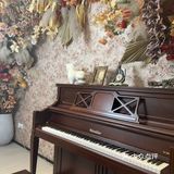 南昌新宠！蓝熙花园——花园洋房里的西餐盛宴