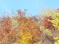 -白草畔自然风景区