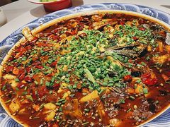 -新概念来凤鱼(璧山店)