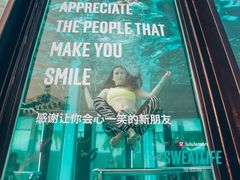 -欢乐海岸椰林沙滩-2025湾区超级灯会