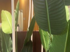 -莲餐厅·湖北菜·藕汤老手艺(愚园路店)