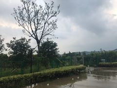 -呼吸森林·生态农庄农家乐私房菜