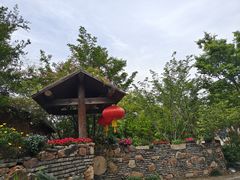 -鹅湖玫瑰文化园