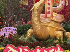 -越秀西湖花市(广州城市广场花卉店)