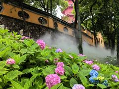 -惠山古镇·寄畅园