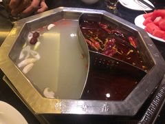 -蜀香居鲜毛肚火锅