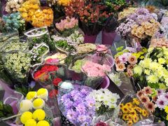 -宝鸡东道花鸟鱼虫市场(吉利花园商场店)