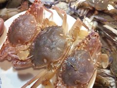 -领鲜活海鲜榴莲自助火锅(东门店)