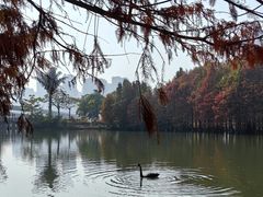 -厦门园林博览苑