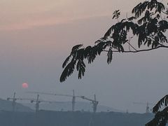 -北马山庄植趣咖啡