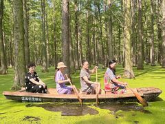 -渌洋湖湿地公园