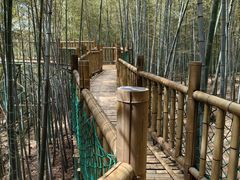 -陶祖圣境风景区