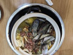 山珍鸡煲菌汤锅-杨记山珍鸡煲菌汤锅