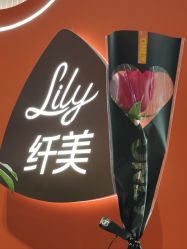 -Lily纤美·科技减脂中心