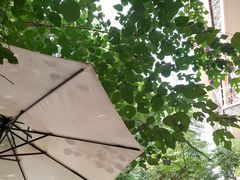 -叁秋咖啡 SANQIU COFFEE(天津河北路店)