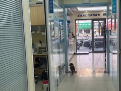 -全心全意连锁动物医院·微创中心·内科急重症·心脏专科(丰管路店)