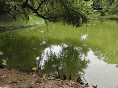 -黄埔古港