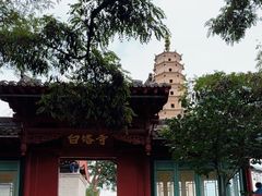 -白塔山公园