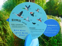 -莲花池公园
