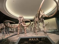 -大庆市博物馆
