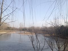 -永定河休闲森林公园