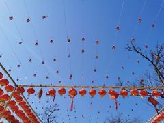 -北京凤凰岭