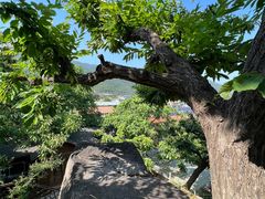 -天津盘山风景名胜区