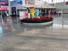 -东营胜利机场