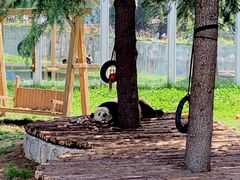 -西安秦岭野生动物园