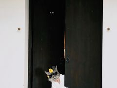 -法云安缦酒店