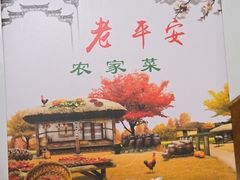 -老平安农家菜(平安店)