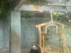 -海南热带野生动植物园