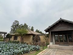 -乌村