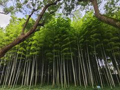 -上海市保健医疗中心