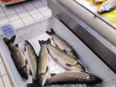 -物美大卖场(玉蜓桥店)