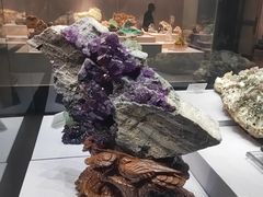 -湖南省地质博物馆