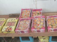 -南汇水蜜桃采摘(大团店)