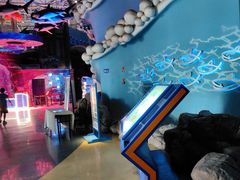 -烟台海昌鲸鲨海洋公园