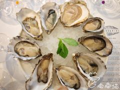 -Oyster Talks 四度蚝法餐厅