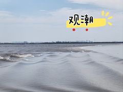 -观潮胜地公园