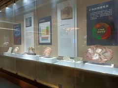 -抱璞文化展示中心